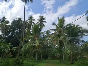 Land for Sale Godigamuwa