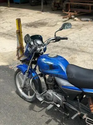 Bajaj Platina 2010