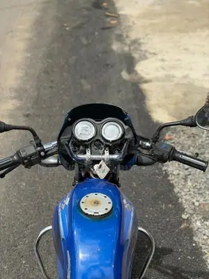 Bajaj Platina 2010