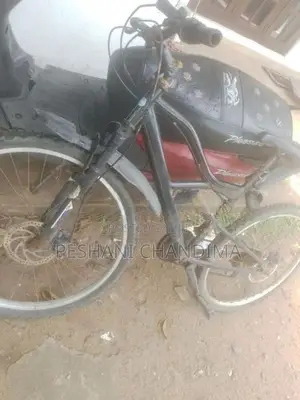 Tomohowk Mountain Bicycle