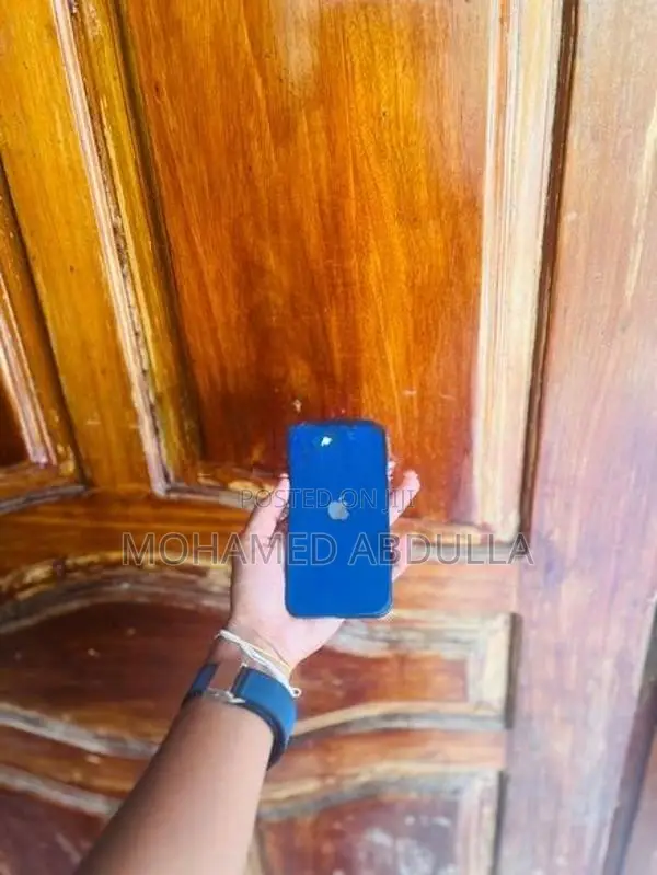Apple iPhone 12 (Used)