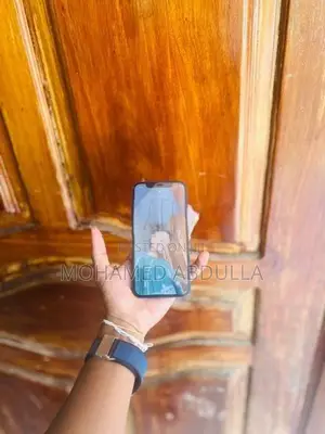 Apple iPhone 12 (Used)