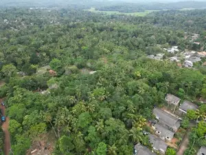Hiriketiya Land Plots Sale