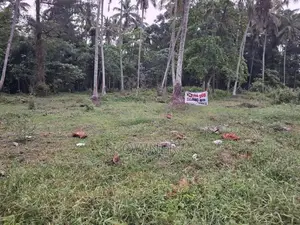 මරදගහමුල - දිවුලපිටිය ප්‍රධාන මාර්ගයේ පර්චස් 26 ක ඉඩමක් විකිණීමට
