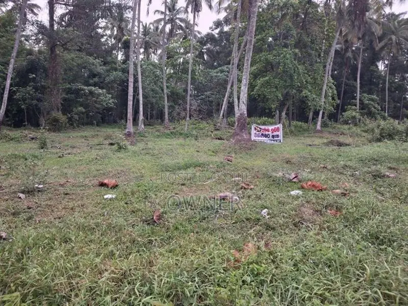 මරදගහමුල - දිවුලපිටිය ප්‍රධාන මාර්ගයේ පර්චස් 26 ක ඉඩමක් විකිණීමට