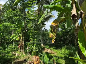 House for Sale in Ithanawatta