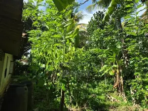 House for Sale in Ithanawatta