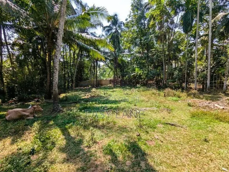 අතුරුගිරිය – මුල්ලේගමෙන් වටිනා ඉඩමක්