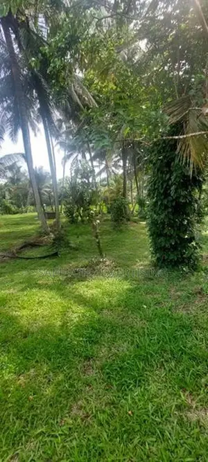 191 Perches Coconut Land with House