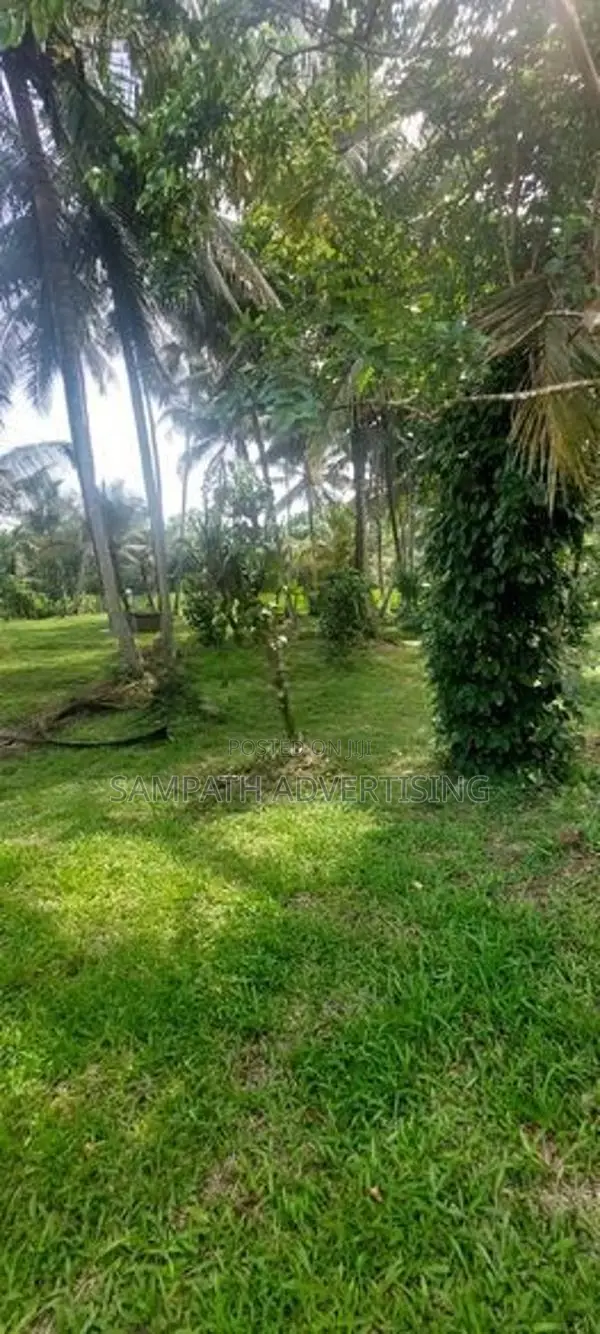 191 Perches Coconut Land with House