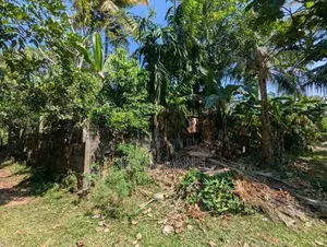 අතුරුගිරිය – මුල්ලේගමෙන් වටිනා ඉඩමක්