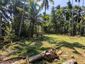 අතුරුගිරිය – මුල්ලේගමෙන් වටිනා ඉඩමක්