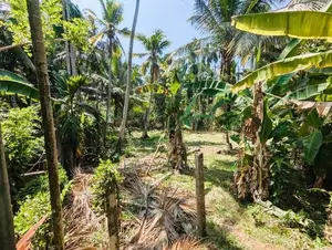 අතුරුගිරිය – මුල්ලේගමෙන් වටිනා ඉඩමක්