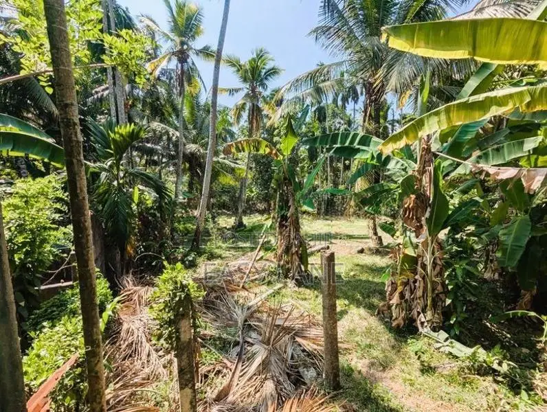 අතුරුගිරිය – මුල්ලේගමෙන් වටිනා ඉඩමක්
