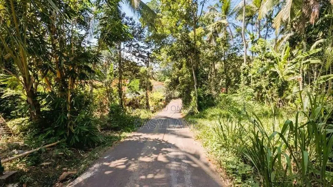 තිහාරියෙන් ඉඩමක්