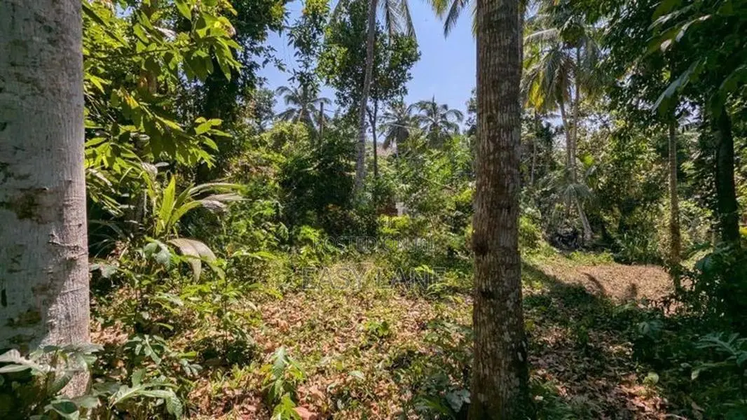 තිහාරියෙන් ඉඩමක්