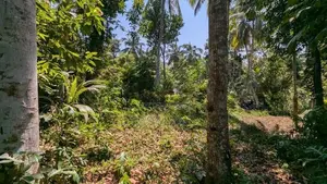 තිහාරියෙන් ඉඩමක්