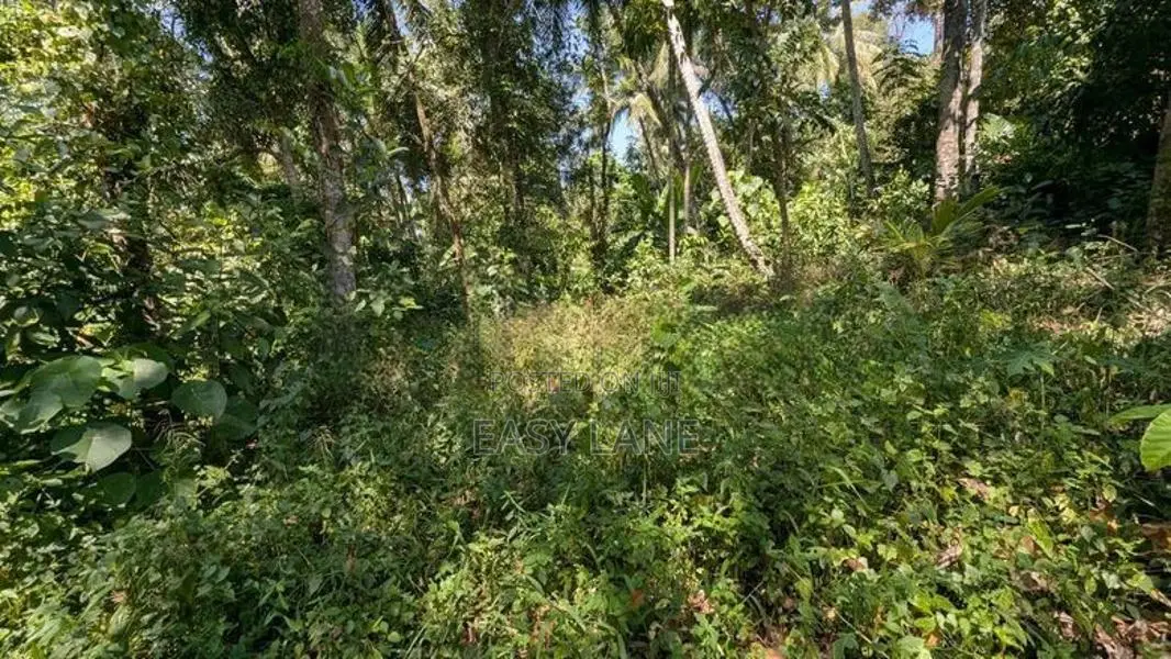තිහාරියෙන් ඉඩමක්