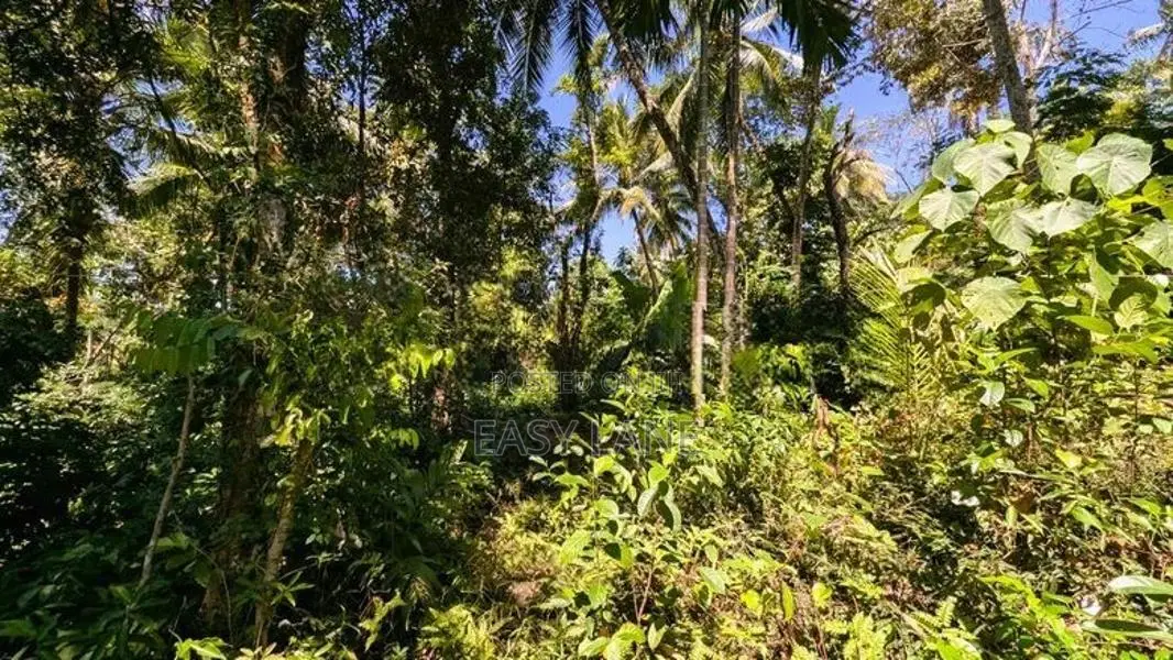 තිහාරියෙන් ඉඩමක්