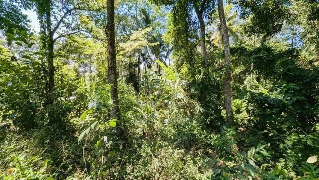 තිහාරියෙන් ඉඩමක්