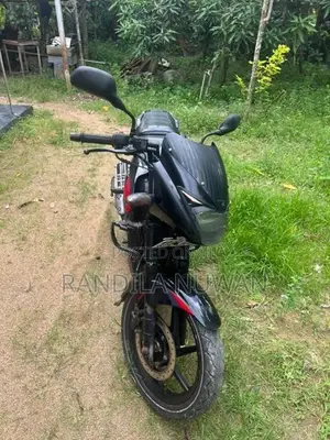 Bajaj Pulsar 150 2019