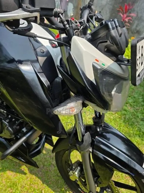 TVS Apache RTR 160 2019