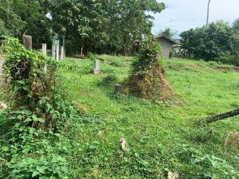 24.9 Perch Land for Sale Demanhandiya