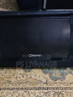 Eidsond Floor Monitor Pair