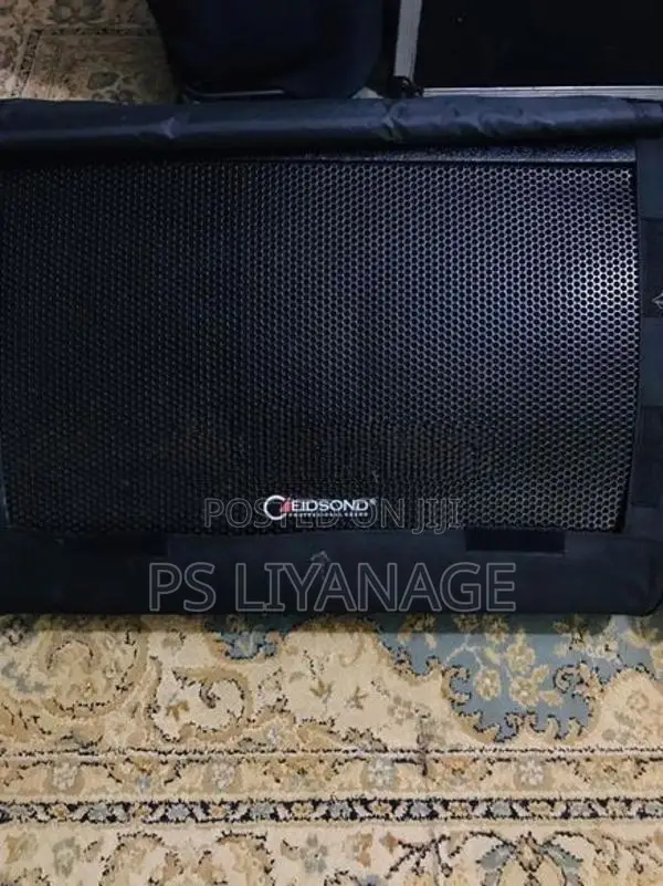Eidsond Floor Monitor Pair