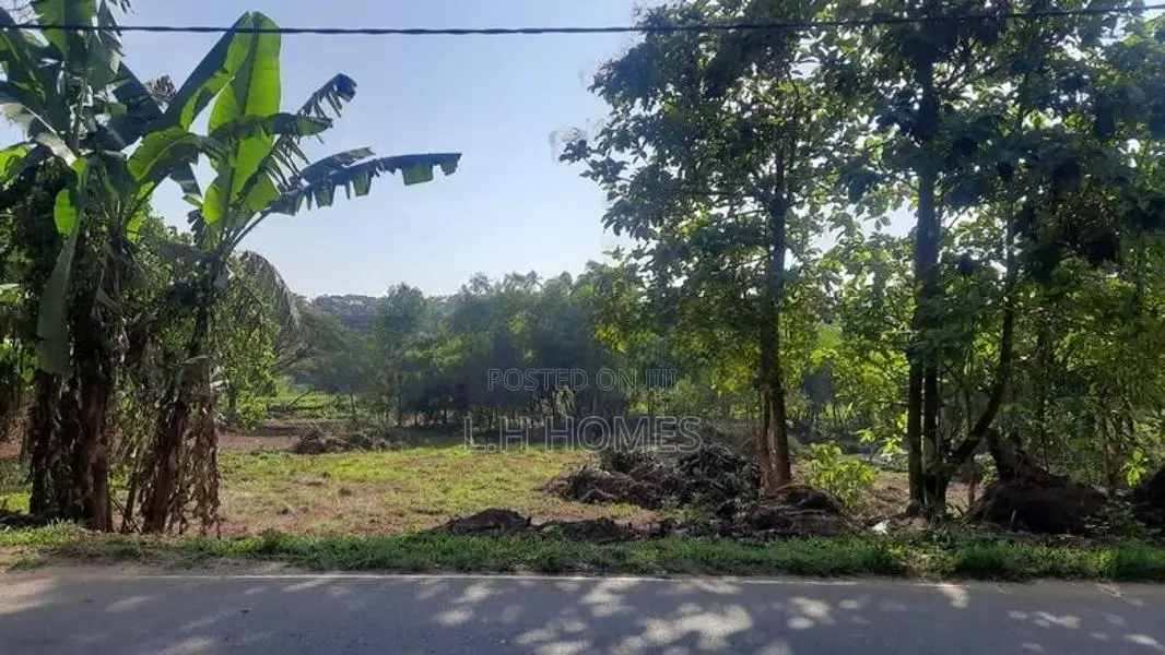 2 Acres Main Road faced Land For Sale in Pannala, Makandura. EL002