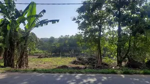 2 Acres Main Road faced Land For Sale in Pannala, Makandura. EL002