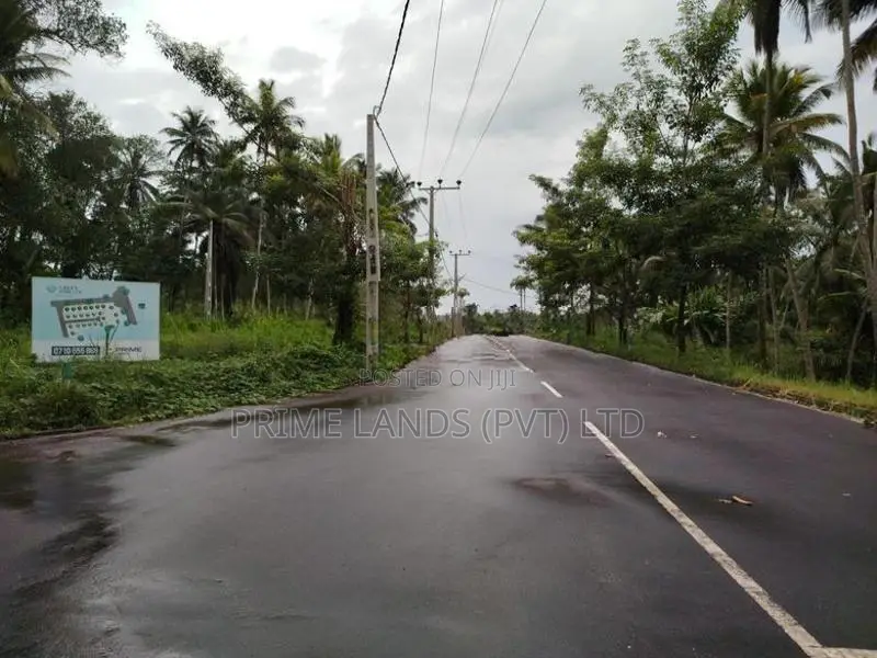 හෝමාගම හොරගල බස් පාරෙන් බිම් කොටස් විකිණීමට