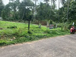24.9 Perch Land for Sale Demanhandiya