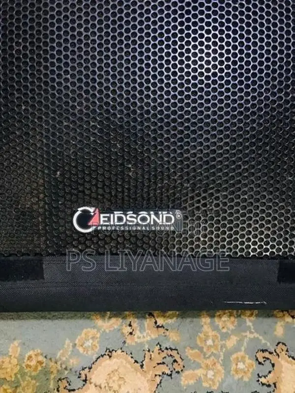 Eidsond Floor Monitor Pair