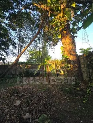 15.5 Perches Residential Land for Sale Dehiwala