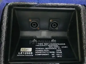 Eidsond Floor Monitor Pair