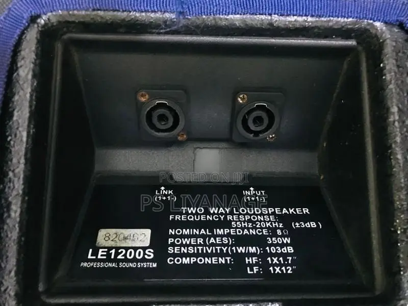 Eidsond Floor Monitor Pair