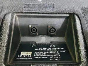 Eidsond Floor Monitor Pair