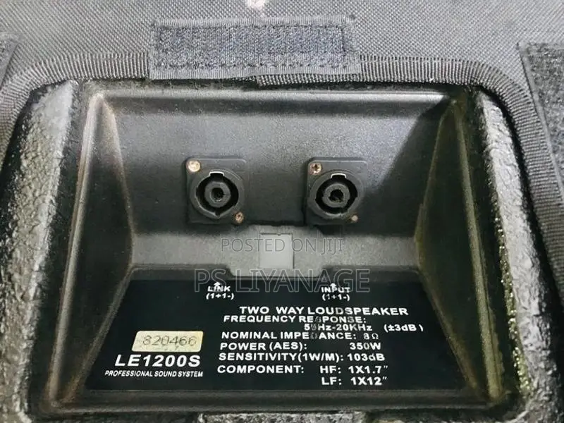 Eidsond Floor Monitor Pair