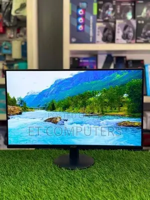MSI Pro MP251L Monitor