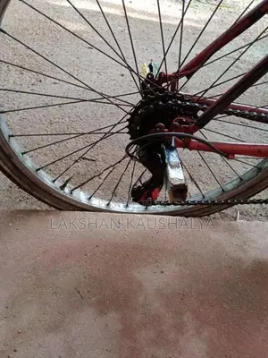 Bicycle