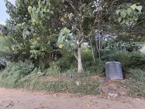 Rideepana, Badulla - Land for Sale