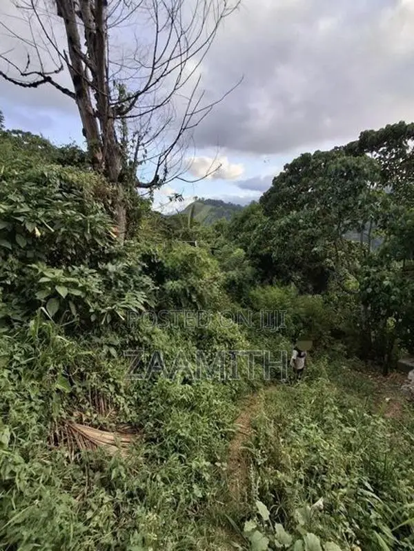 Rideepana, Badulla - Land for Sale