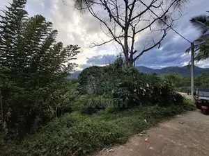 Rideepana, Badulla - Land for Sale