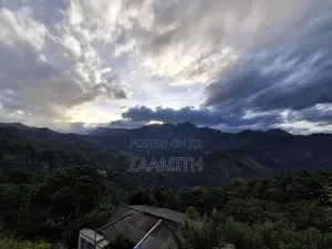 Rideepana, Badulla - Land for Sale