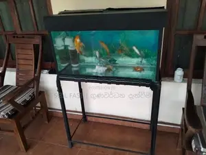 Fish Tank