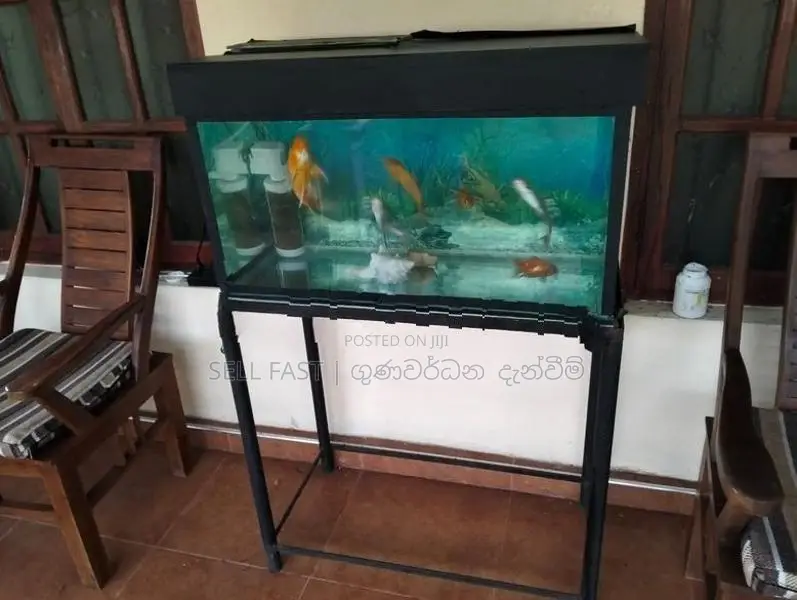 Fish Tank
