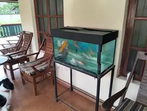 Fish Tank