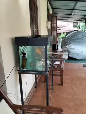 Fish Tank