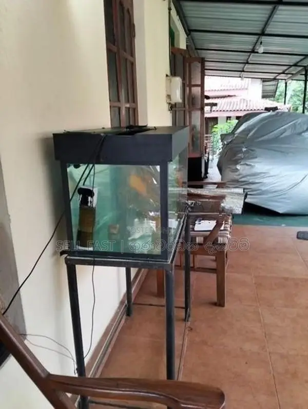 Fish Tank